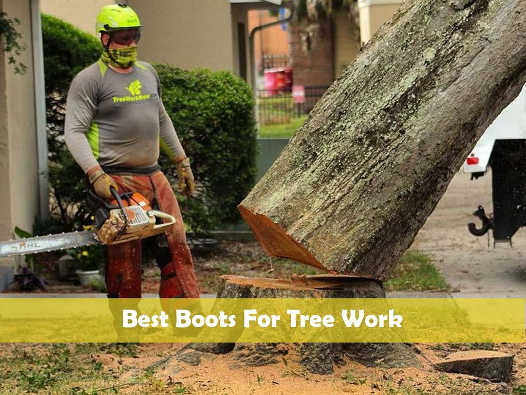Best Boots For Tree Work
