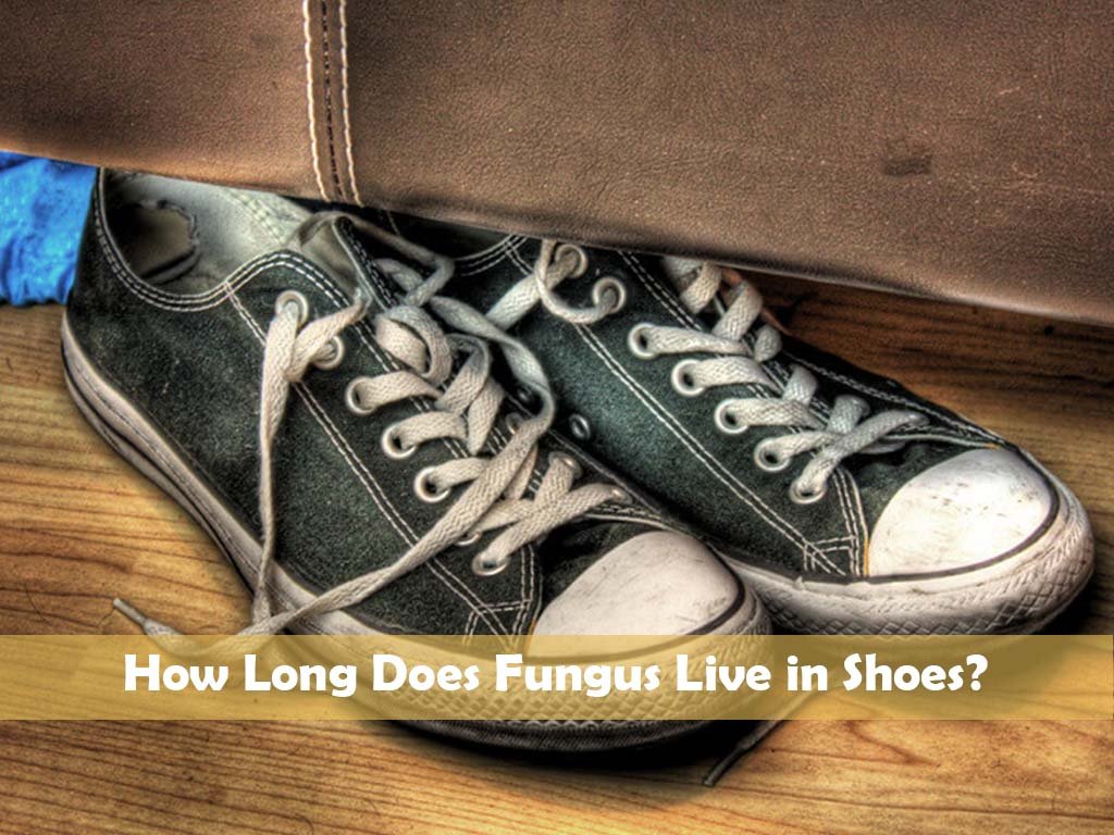 How Long Does Fungus Live in Shoes